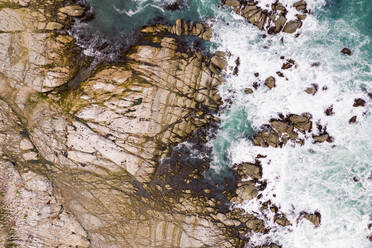Aerial view above Kaikoura Seal Colony at Canterbury, New Zealand. - AAEF06152