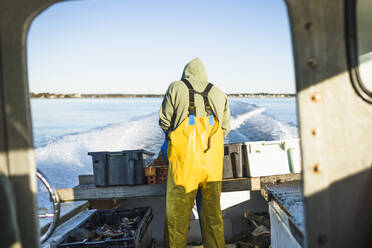 Vorbereitung von Ködern für das Muschelfischen in Aquakulturen in der Narragansett Bay - CAVF71461