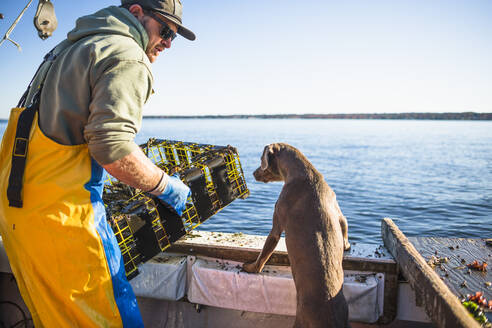 Bootshund für Aquakultur-Muschelfischerei in der Narragansett Bay - CAVF71476