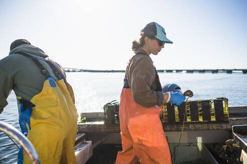 Ziehen von Reusen für die Aquakultur in der Narragansett Bay - CAVF71478