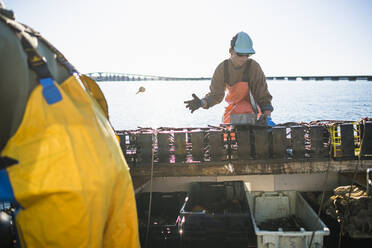 Frau bei der Arbeit auf einem Muschelfischerboot in der Narraganestt Bay - CAVF71479