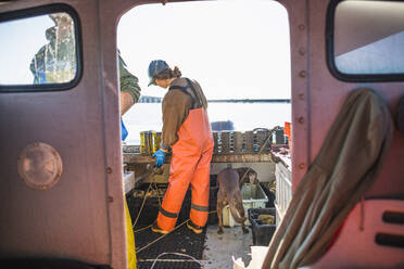 Frau und Hund bei der Arbeit auf einem Boot zum Muschelfischen in der Narragansett Bay - CAVF71482