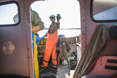 Frau und Hund bei der Arbeit auf einem Boot zum Muschelfischen in der Narragansett Bay - CAVF71483