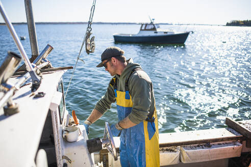 Ziehen von Reusen zum Muschelfischen in der Narragansett Bay - CAVF71509