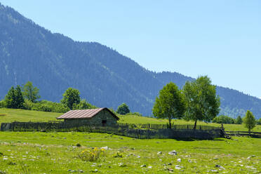 Steinscheune auf einer Almwiese, Mazeri, Region Samegrelo-Zemo Svaneti, Georgien - CAVF71543