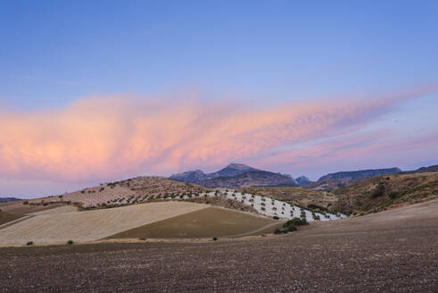 Landschaft in Ardales, Malaga, Spanien - CAVF71588