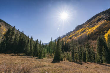 Herbstlandschaft in der Maroon Bells-Snowmass Wilderness - CAVF71909