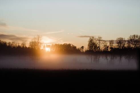 Von Bäumen gesäumter Wald und in Frost und Nebel gehüllte Wiese bei Sonnenuntergang - CAVF71953