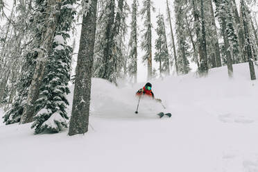 Skifahrer im Pulverschnee in Wolf Creek - CAVF72030