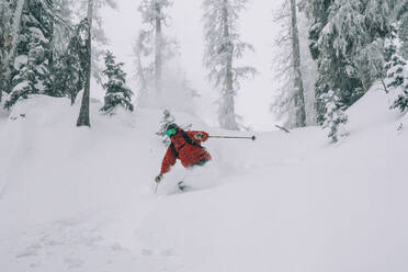 Skifahrer beim Tiefschneefahren durch Bäume in Colorado - CAVF72034