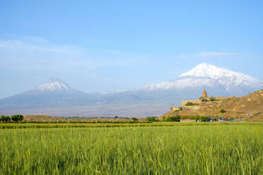 Kloster Khor Virap und Berg Ararat, Provinz Ararat, Armenien - CAVF72106