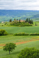 Podere Belvedere bei San Quirico d'Orcia, Val d'Orcia, Toskana, Italien - CAVF72150