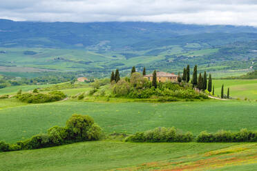 Podere Belvedere bei San Quirico d'Orcia, Val d'Orcia, Toskana, Italien - CAVF72151