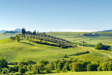Tuscan landscape near Castiglione d'Orcia, Val d'Orcia, Tuscany, Italy - CAVF72176