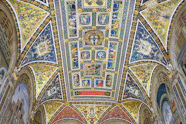 Decke der Piccolomini-Bibliothek, Dom von Siena (Siena Cathedral), Siena, Toskana, Italien - CAVF72183