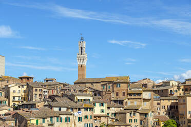 Torre del Mangia und Gebäude in der Altstadt, Siena, Toskana, Italien - CAVF72186