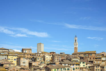 Torre del Mangia und Gebäude in der Altstadt, Siena, Toskana, Italien - CAVF72187