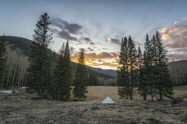 Camping in the Pecos Wilderness - CAVF72211