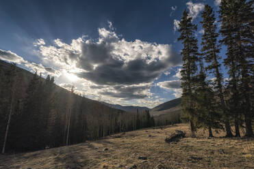 Landschaft in der Pecos Wilderness - CAVF72212