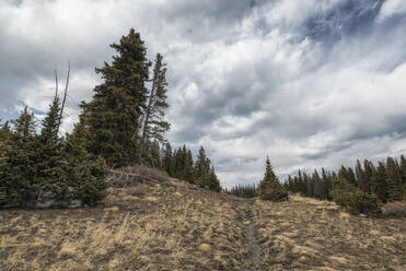 Landschaft in der Pecos Wilderness - CAVF72225