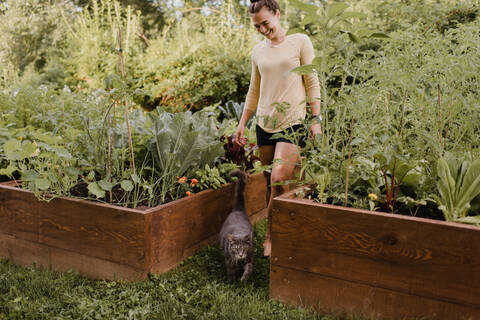 Gärtnerin mit Katze im Garten, lizenzfreies Stockfoto