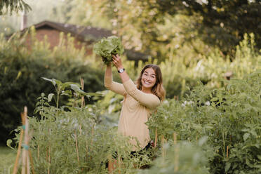 Triumphierende Gärtnerin mit Kopfsalat aus dem Garten - CUF54254