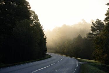 Empty road on foggy day - JOHF05044