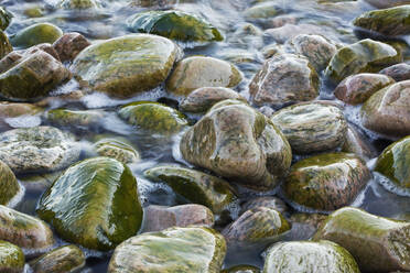 Felsen im Wasser - JOHF05055