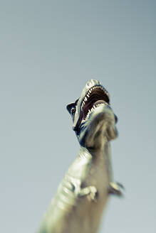 Toy dinosaur - JOHF05059