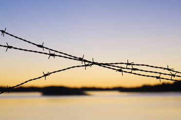 Close-up of barbed wire at sunset - JOHF05103