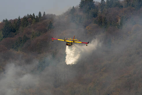 Canadair wirft Wasser, um das Feuer auf dem Sacro Monte, Varese, Italien, zu löschen - ISF23382