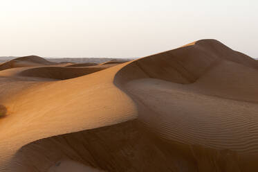 Sand dunes, Wahiba Sands desert, Oman - ISF23445