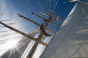 View of sails of Star Clipper sailing cruise ship - ISF23454