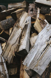 Close-up of firewood - CAVF72314