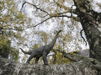 Dinosaurier-Figur auf einem Baum im Herbst - GUSF02996