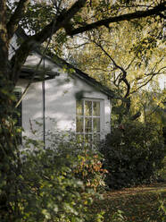 Residential house with garden in autumn - GUSF03021