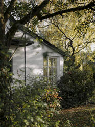 Wohnhaus mit Garten im Herbst - GUSF03021