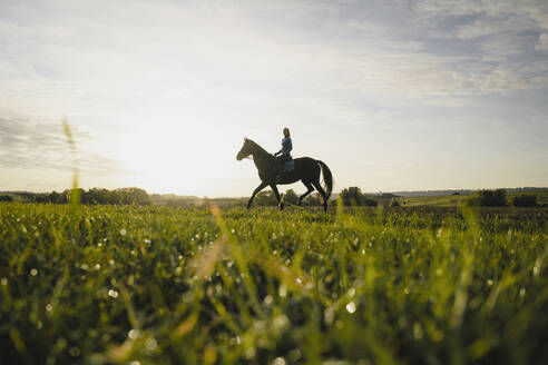 Frau reitet Pferd auf einem Feld auf dem Lande bei Sonnenuntergang - JOSF04122