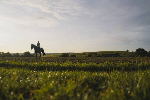 Frau reitet Pferd auf einem Feld auf dem Lande bei Sonnenuntergang - JOSF04129