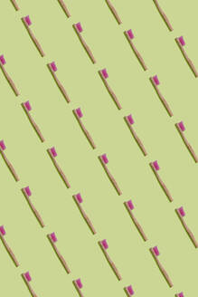 Sustainable and plastic free bamboo toothbrushes pattern on green background - GEMF03366