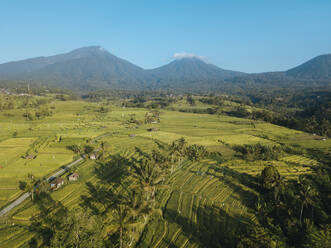 Indonesien, Bali, Luftaufnahme der Reisterrasse Jatiluwih - KNTF03783