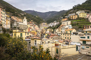 Stadtbild von Riomaggiore, Ligurien, Italien - MSUF00099