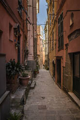 Enge Gasse in Vernazza, Ligurien, Italien - MSUF00102