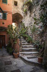 Enge Gasse und Treppe in Vernazza, Ligurien, Italien - MSUF00103