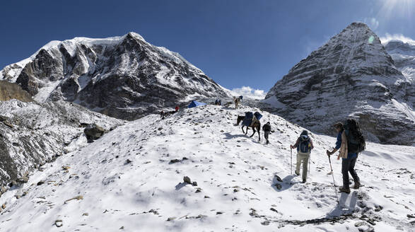 Trekking group at Chonbarden Glacier, Tukuche Peak, Dhaulagiri Circuit Trek, Himalaya, Nepal - ALRF01653