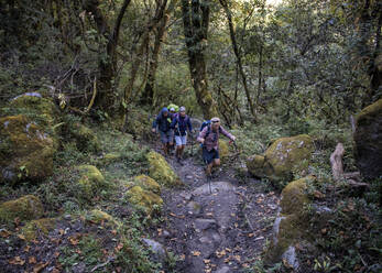Wandergruppe in Dharapani, Dhaulagiri Circuit Trek, Himalaya, Nepal - ALRF01681