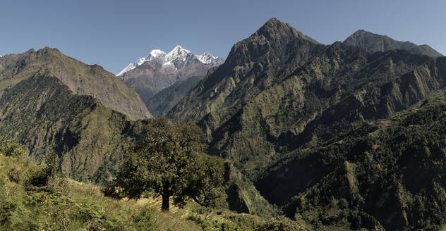 Dhaulagiri, Dhaulagiri-Rundwanderung, Himalaya, Nepal - ALRF01691