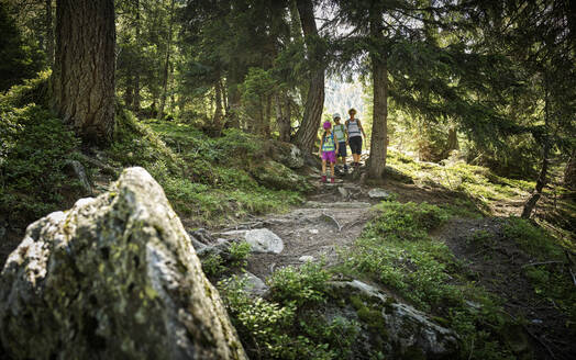 Mutter mit zwei Kindern beim Wandern im Wald, Passeiertal, Südtirol, Italien - DIKF00320