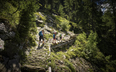 Mutter mit zwei Kindern beim Wandern in alpiner Landschaft, Passeiertal, Südtirol, Italien - DIKF00322