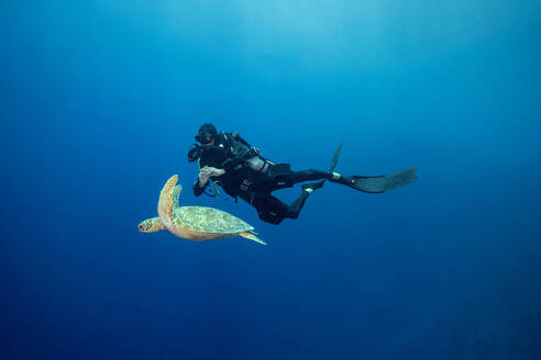 Palau, Blaue Ecke, Taucher und Meeresschildkröte unter Wasser - GNF01531